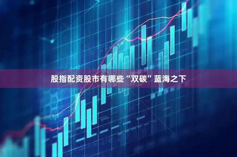 股指配资股市有哪些　　“双碳”蓝海之下